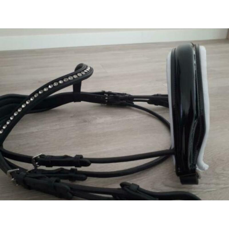 Anatomisch rondgenaaid stang & trens hoofdstel: COB