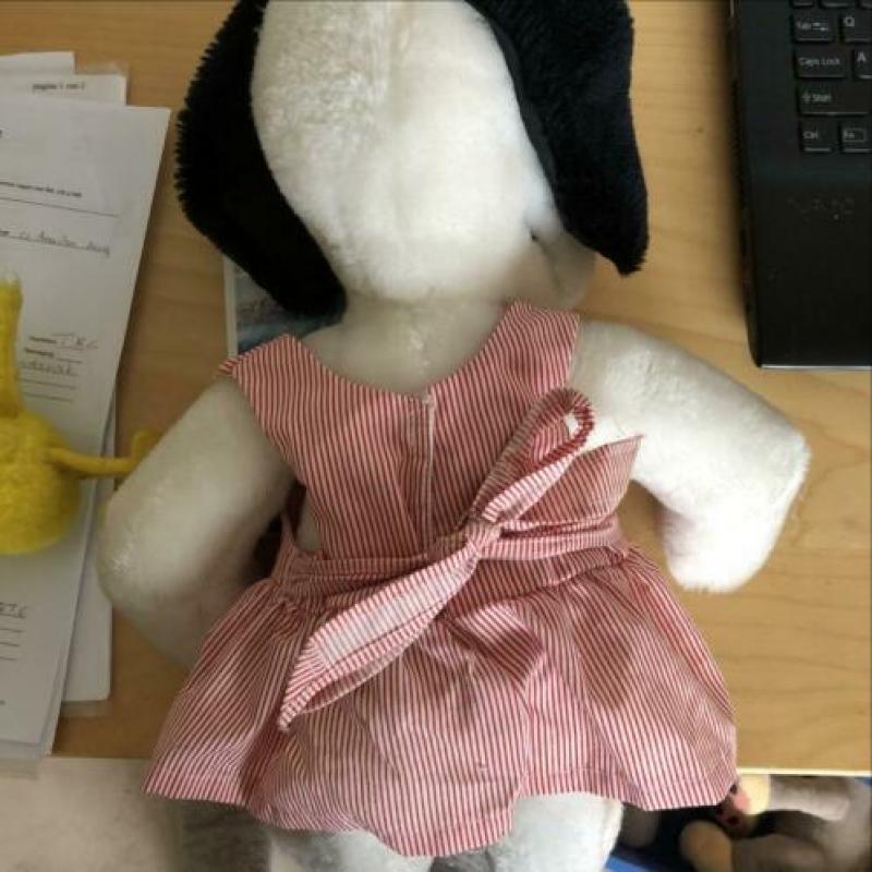 Belle van Snoopy met Woodstock met verpleegster jurkje