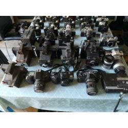 Lot van 73 analoge camera's