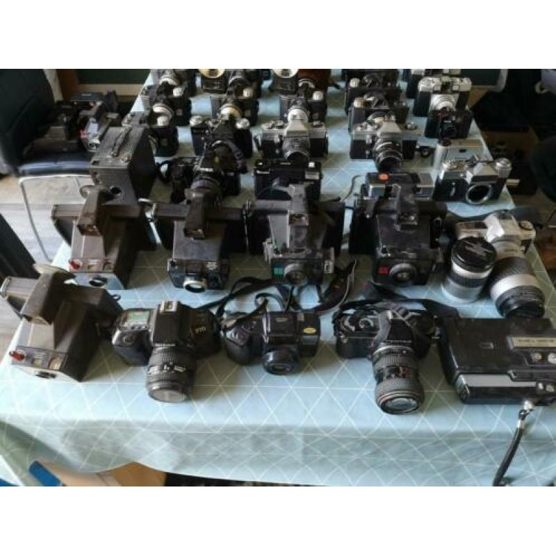 Lot van 73 analoge camera's