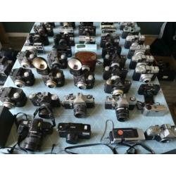 Lot van 73 analoge camera's