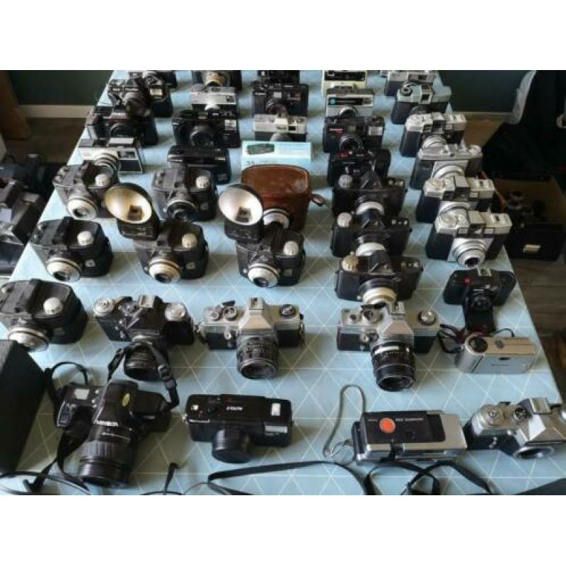 Lot van 73 analoge camera's
