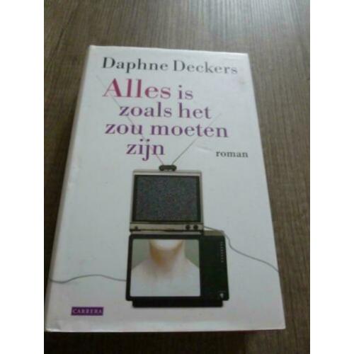Boek: Alles is zoals het zou moeten zijn (Daphne Dekkers)