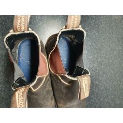 Blundstone wandel schoenen gekocht in Tasmanië