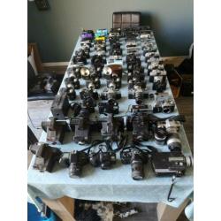 Lot van 73 analoge camera's