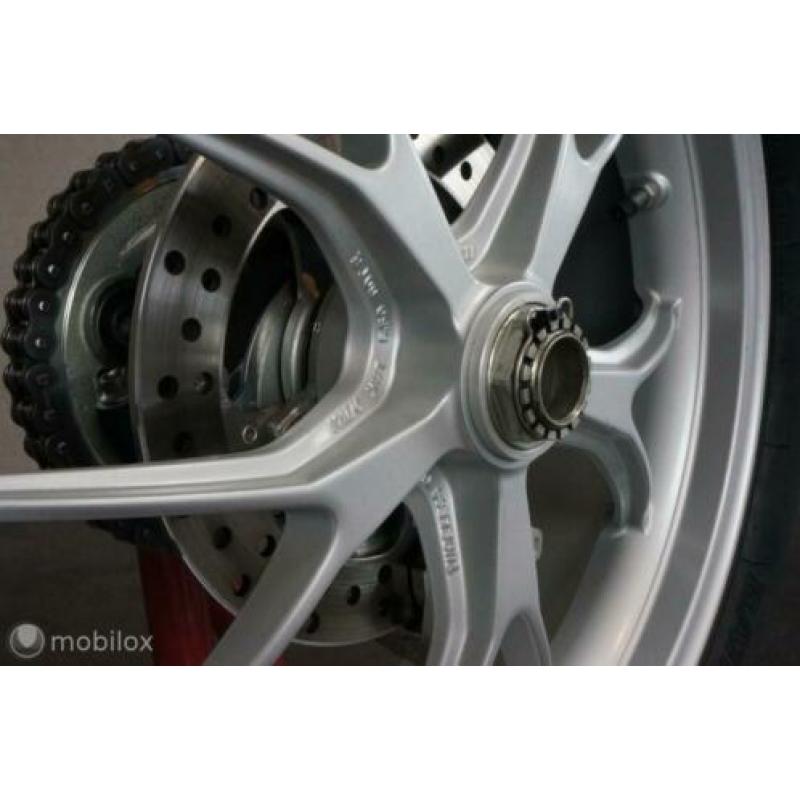 Ducati Monster 1100 ( M1100 M 1100 )