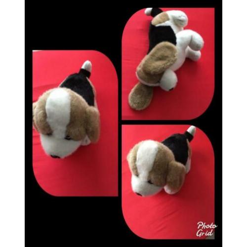 Grote knuffel??hond??knuffel