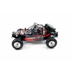 RC auto desert buggy Carisma M10DB 2WD 1:10 brushless