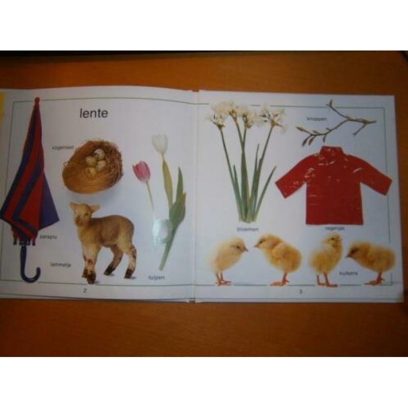Een ogenblikje op.....seizoenen/Rann Toni/1990