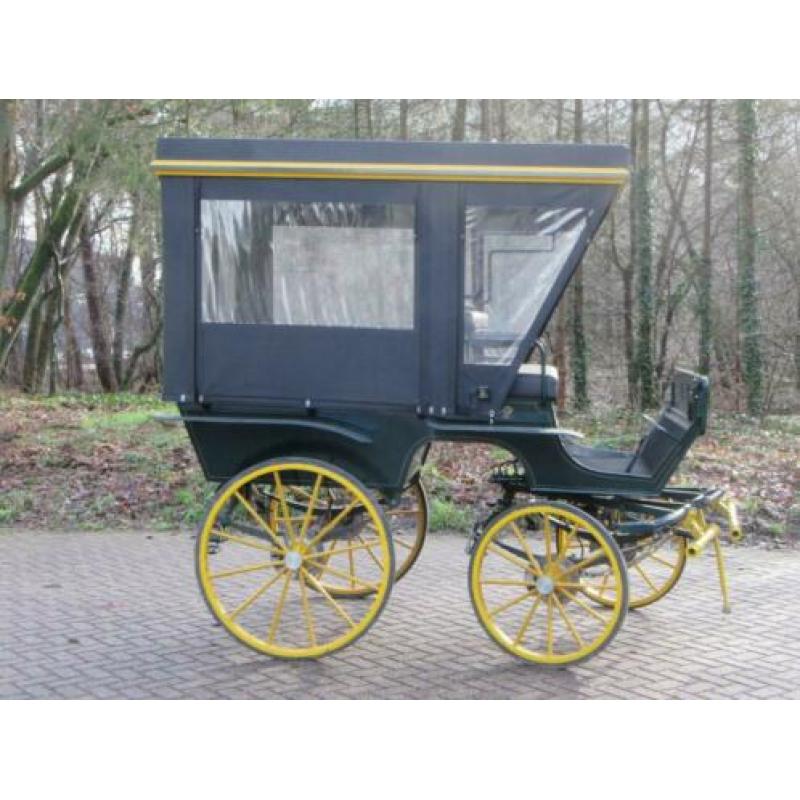 Goed onderhouden wagonette met kap