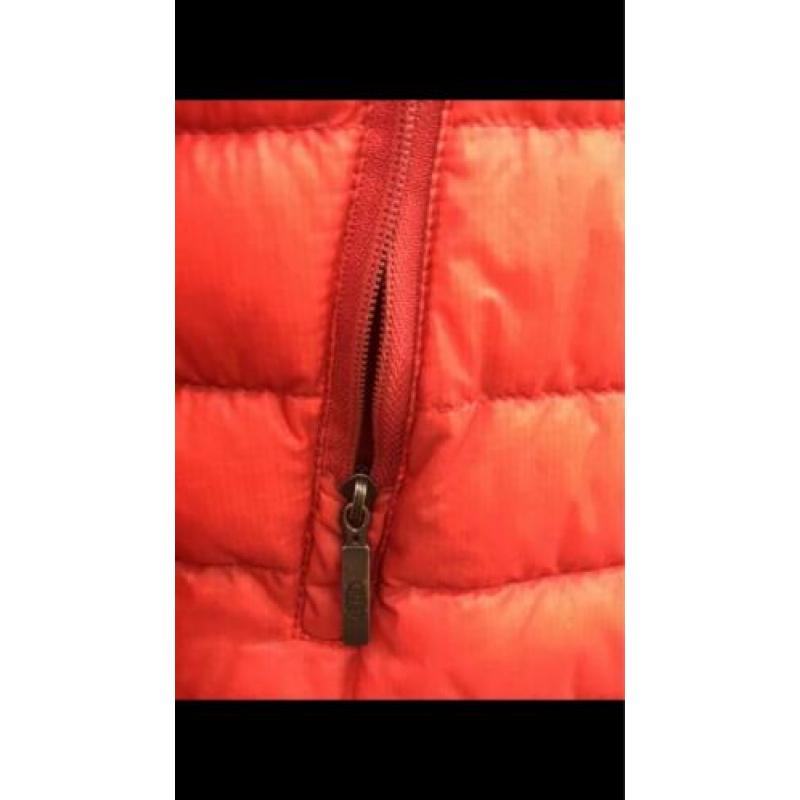 Parajumpers zomerjas Hermes oranje maat M als nieuw!