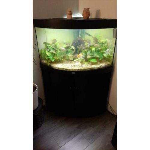 Aquarium juwel 190L hoek met kast