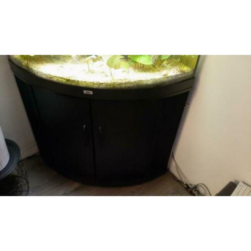 Aquarium juwel 190L hoek met kast