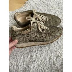 Fretons fred de la bretoniere sneakers gympen maat 37