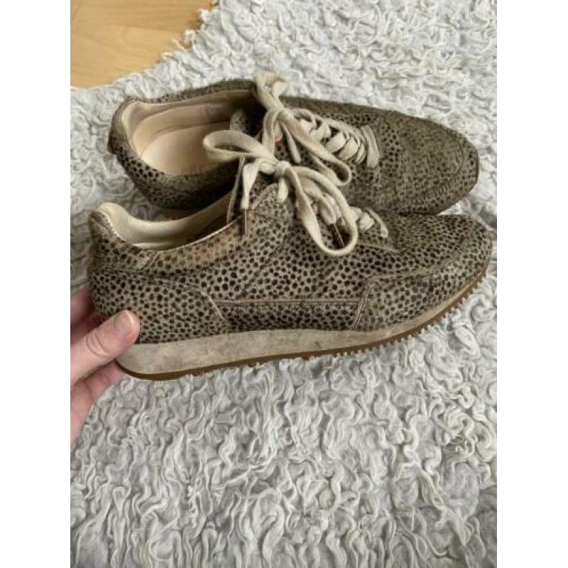 Fretons fred de la bretoniere sneakers gympen maat 37