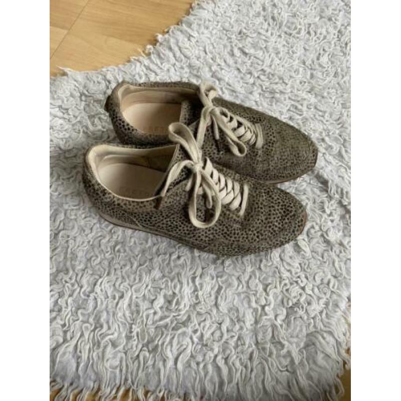 Fretons fred de la bretoniere sneakers gympen maat 37