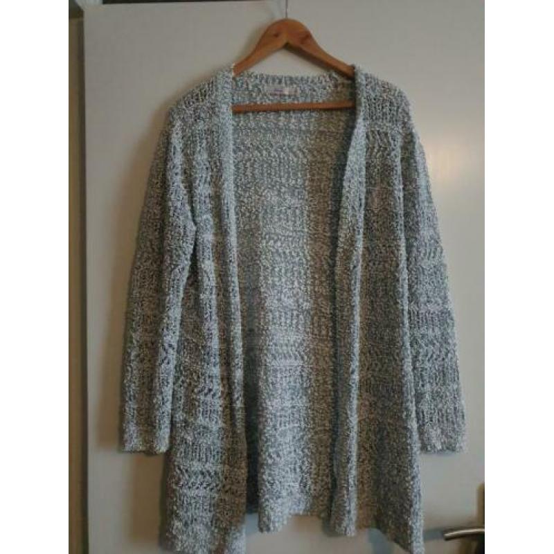 gemêleerd licht blauw vest miss etam maat L
