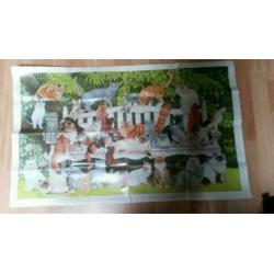 4 posters