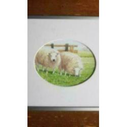 Litho twee schapen in mooie lijst met paspartout.