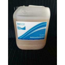 Melkzuurbacterien / Melkzuurbacteriën / bacteriën /Opstart