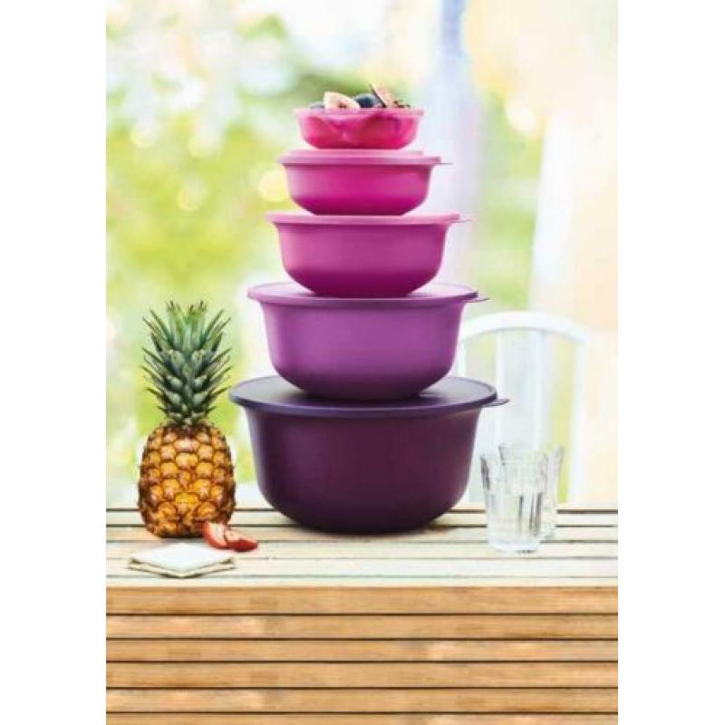 Tupperware Aloha Kom 1L Rood NIEUW