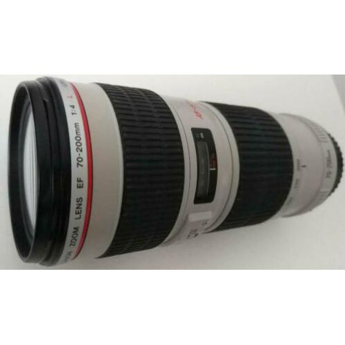 Canon 70-200mm 4.0 L met zonnekap