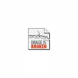 Ford Focus 1.4-16V Trend