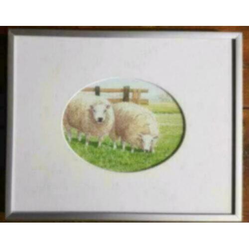 Litho twee schapen in mooie lijst met paspartout.