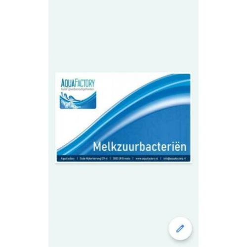 Melkzuurbacterien / Melkzuurbacteriën / bacteriën /Opstart