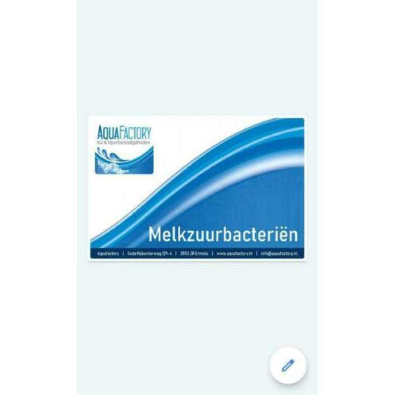 Melkzuurbacterien / Melkzuurbacteriën / bacteriën /Opstart