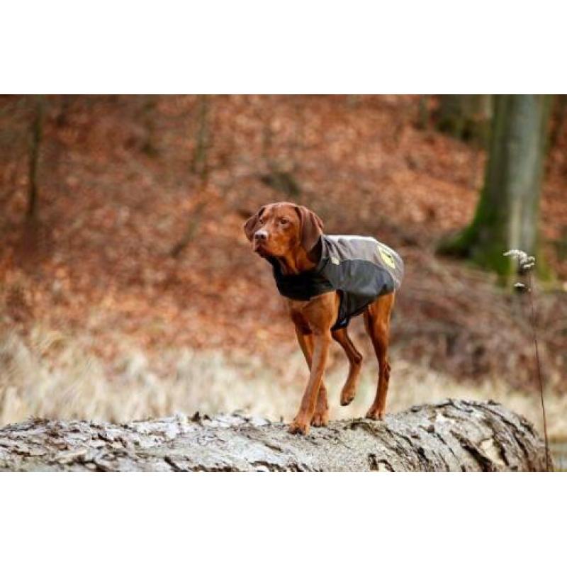 Hondenjas | Bruin | Maat L (50 cm)