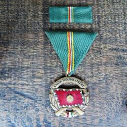 Medaille Hongarije Propaganda
