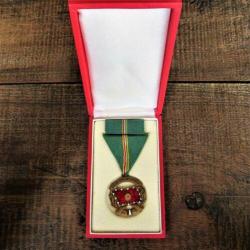 Medaille Hongarije Propaganda