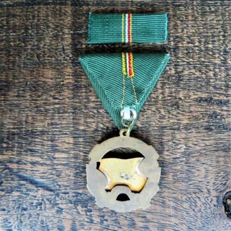 Medaille Hongarije Propaganda