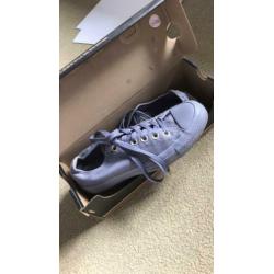 All stars converse maat 37