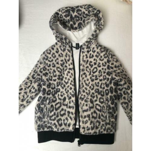 Little 10 days/ ten days 128 leopard tussen jas sweatvest