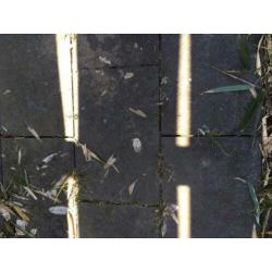Grijze terras tegels (1,85 m x 1,03 m) - gratis