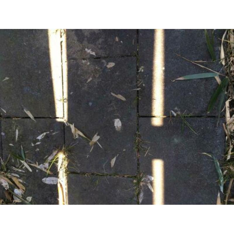 Grijze terras tegels (1,85 m x 1,03 m) - gratis