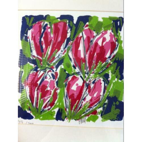 Zeefdruk Ad van Hassel Crocussen