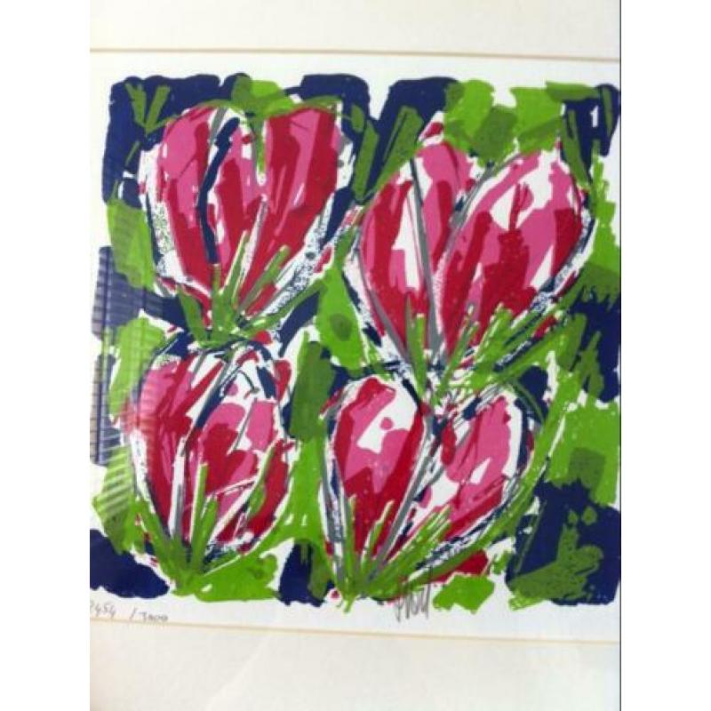 Zeefdruk Ad van Hassel Crocussen