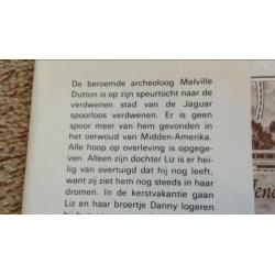 De avonturen van Holly Hobbie, Richard Dubelman.