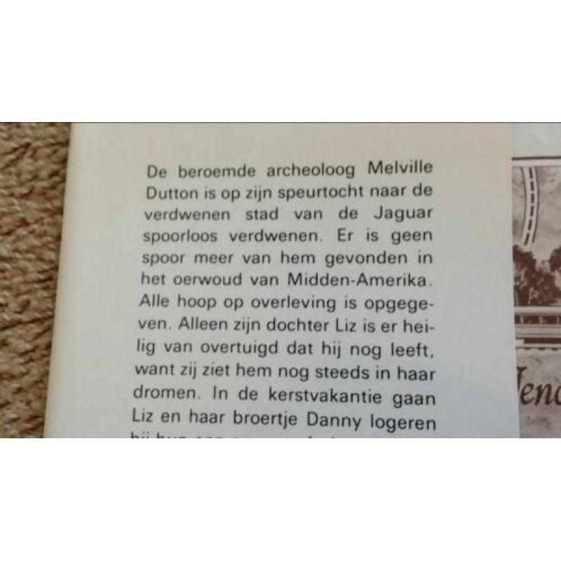 De avonturen van Holly Hobbie, Richard Dubelman.