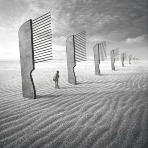 Dariusz Klimczak - Zen garden - genummerde fotolitho met COA