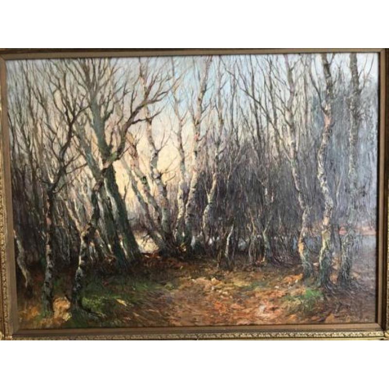Olieverf schilderij antiek bomen met mooie lijst