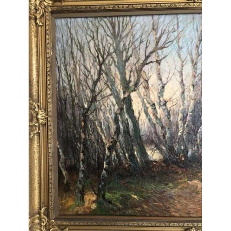 Olieverf schilderij antiek bomen met mooie lijst