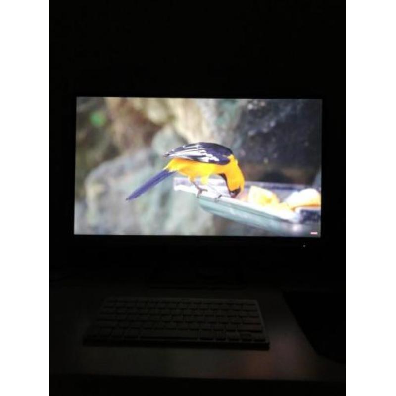 Monitor 1920x1080 HP