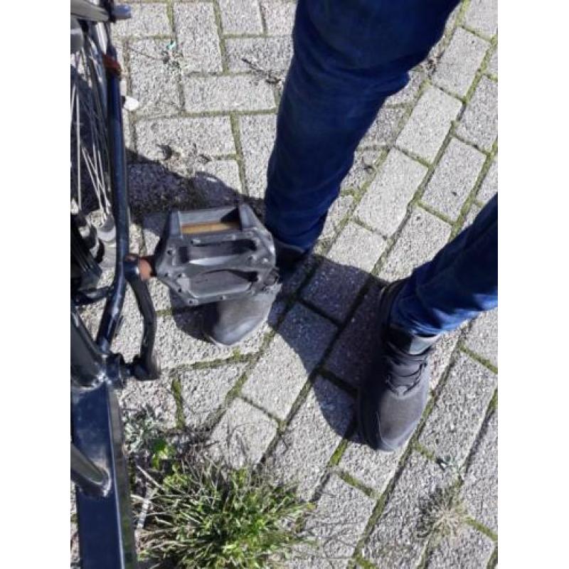 bakfiets