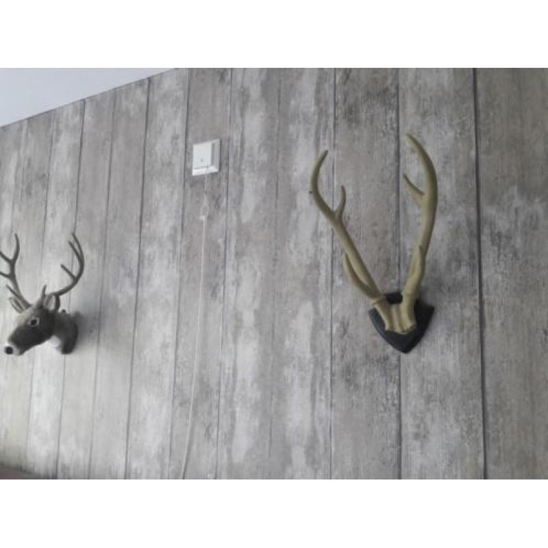 1 rol hout bruin vliesbehang