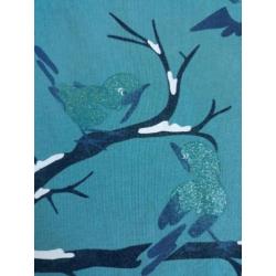 Setje vestje, shirt vogeltjes Name it mt 50 ZGAN