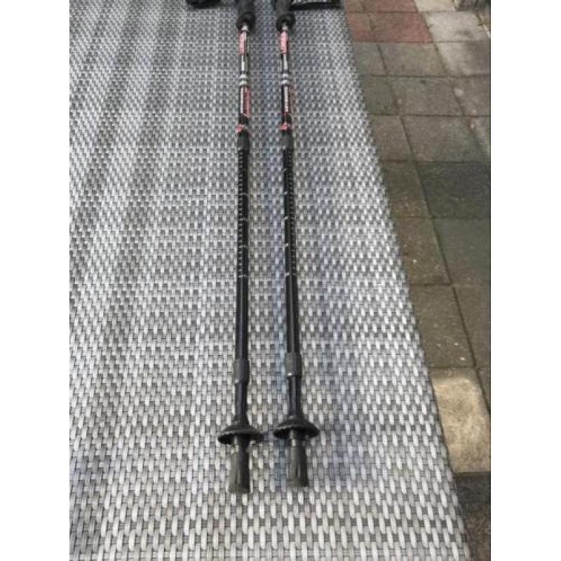 Nordic walking wandelstokken tengyun longda antischok